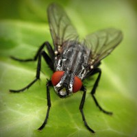 /album/santhicktifee/photolia-a01-jpg/