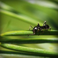 /album/santhicktifee/photolia-a05-jpg/