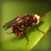 /album/santhicktifee/photolia-a06-jpg/