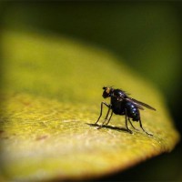 /album/santhicktifee/photolia-a07-jpg/